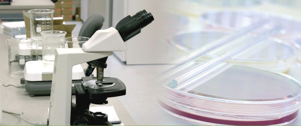 headerimage_research_and_development